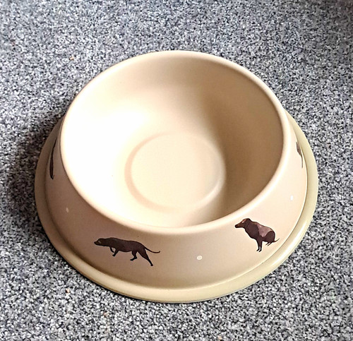 Sophie allport labrador - sophie,