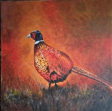 Original Acrylic Painting Pheasant Game Bird Wildlife Art Canvas