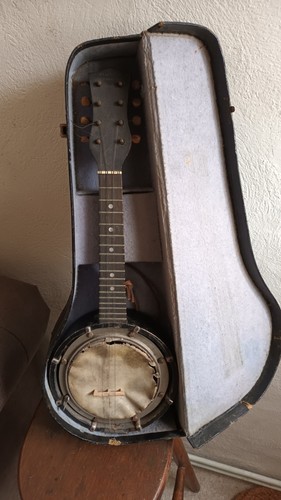 Vintage walliostro zither - walliostro,