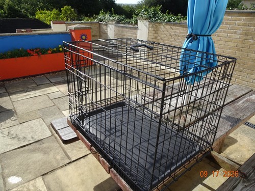 Small dog crate cage black - crate, cage,