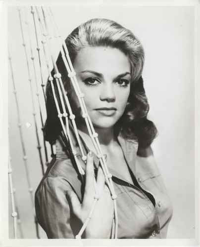 Dyan cannon original - cannon, 8x10