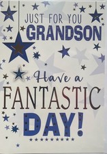 adult grandson birthday card /