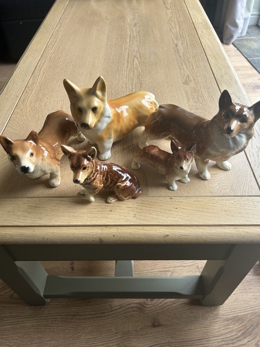 Pot corgi dogs job - corgi,