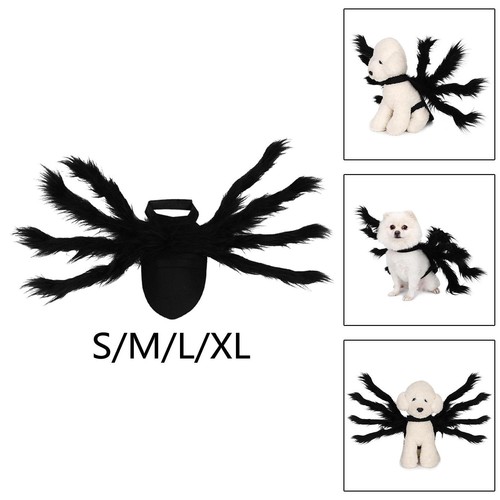 Dog cat spider - cat, costume