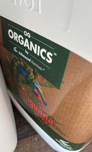 Organic iguana juice - iguana,