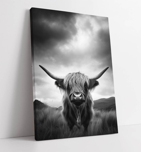 Cool black and white - black, highland