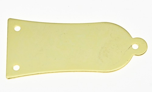 Metal guitar blank holes - metal,