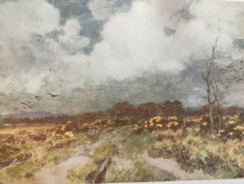 Antique print bramshott - antique,
