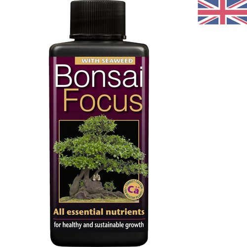 Bonsai focus 100ml liquid - focus,