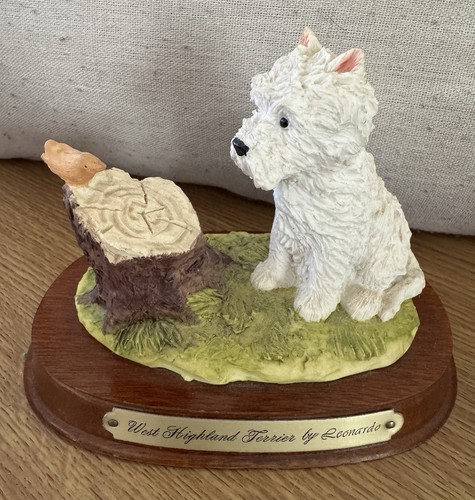 Westie dog west highland - dog,