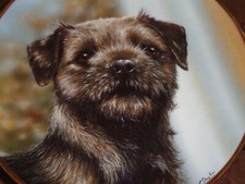 Danbury Mint Collectors Plate EVER ALERT From  THE BORDER TERRIER
