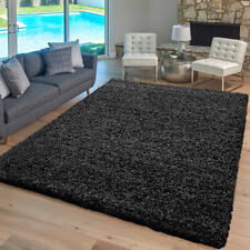 Thick Large Shaggy Rugs Non