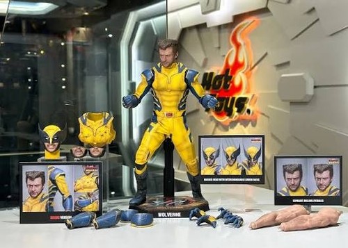 Hot toys wolverine - hot,