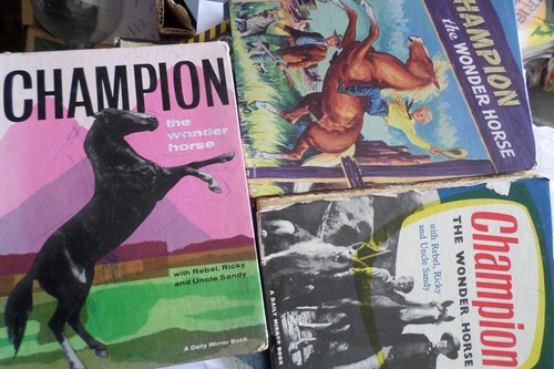 Cowboy western annuals - cowboy,