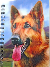 Short Haired German Shepherd
