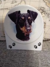 German proscholdt porzellandekoration porcelain doberman dog money box