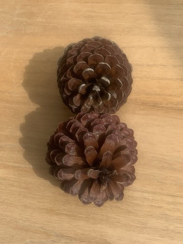 Very large natural - 2,