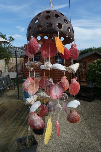 String seashell coconut - string,