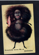WILDT & KRAY POSTCARD "EVERYBODY LOVES ME AT HEXHAM" 1912 UNUSUAL