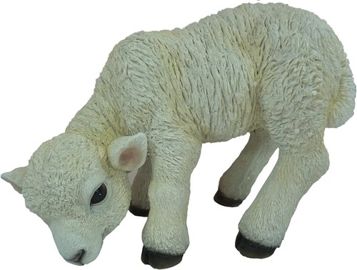 Vivid arts farmyard collection - vivid,