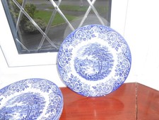 Broadhurst ironstone plates