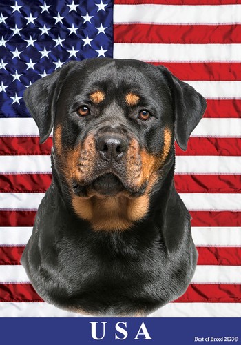 Rottweiler all american - rottweiler, ii