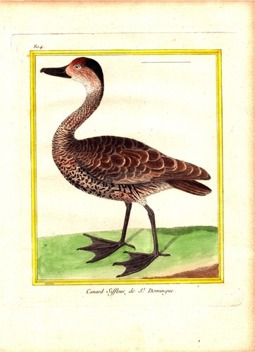 Original 1778 hand colored - original,
