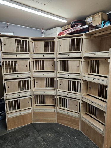 Racing pigeon nest - pigeon, boxes