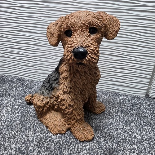 Vgc castagna italy large dog - large,