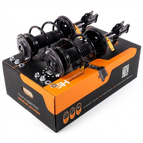 Complete struts assembly - complete,