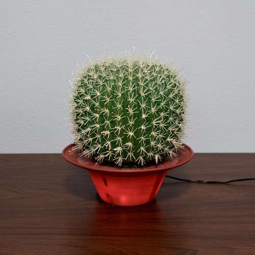 Boxed retro plastic cactus - plastic,