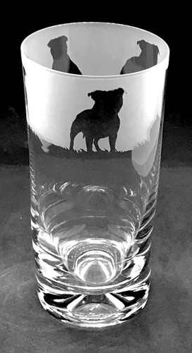 Stafforshire bull terrier - bull,