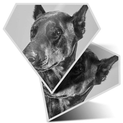 Diamond stickers 5cm bw - 2, 7.5cm