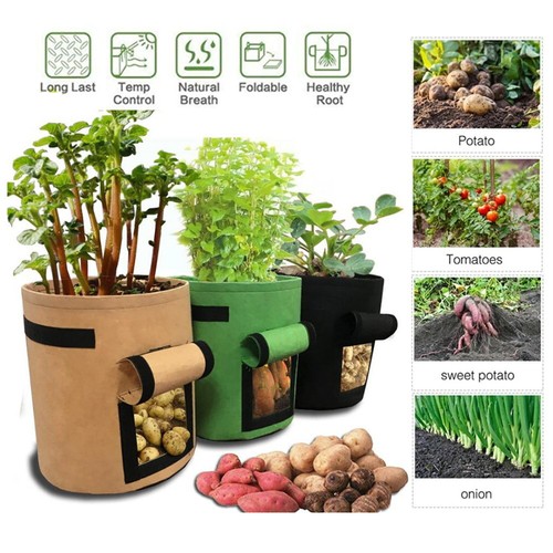 10gallon plant grow - grow, bags