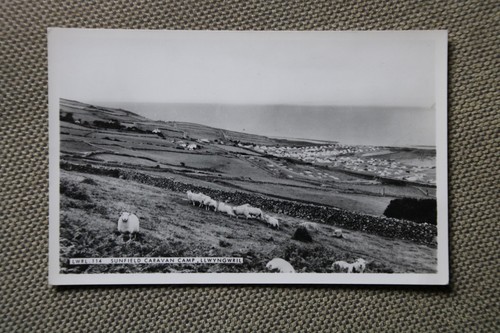 Vintage postcard sunfield - postcard,