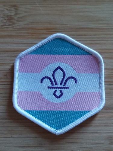 Scouting scout pride trans - scout,