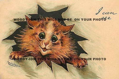 Rp10191 louis wain cats - -,