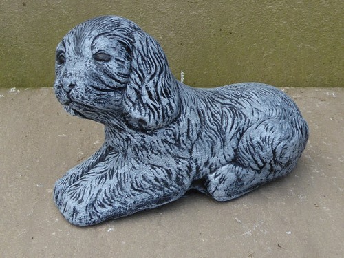 Cute spaniel puppy dog - cute,