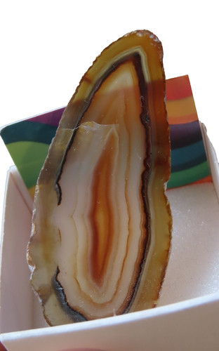 Brazil agate slice - agate,