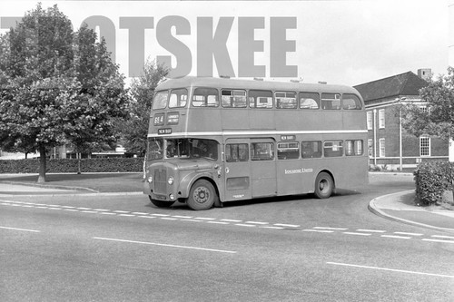 35mm black and white negative - white,