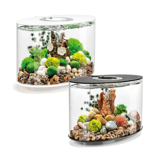 Biorb loop aquarium fish tank - aquarium,
