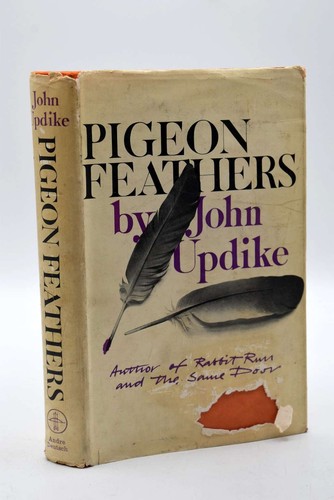 Pigeon feathers john - pigeon, feathers,