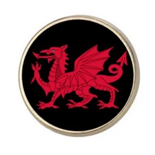 Welsh Dragon Wales Silver Colour Round Badge With A Velveteen Bag
