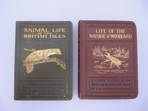 Frederick warne wildlife - frederick,