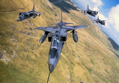 Raf jaguar squadron large - jaguar, squadron,