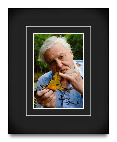 Sir david attenborough signed - david,