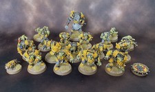 Painted Orc Blood Bowl Team - 17 Models + 1 Big Guy + 2 Team Tokens