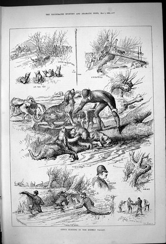 Antique old print - old, otter