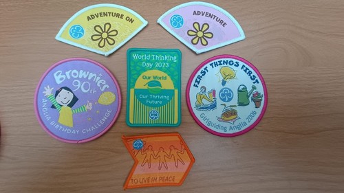 Vintage girl guide brownie - girl,