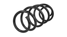 Suspension Spring For TIGUAN